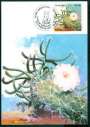 MAX0082 1983 FLORA BRASILEIRA XIQUE XIQUE CBC FEIRA SANTANA